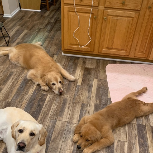 Meet your Posher, Kate - Picture 7 of 9